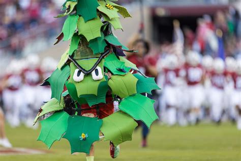 Stanford Tree Mascot Suspension: What it Means for the University's Brand